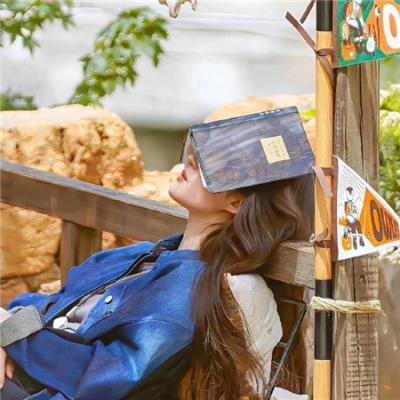 西安杀戮 高清在线观看封面